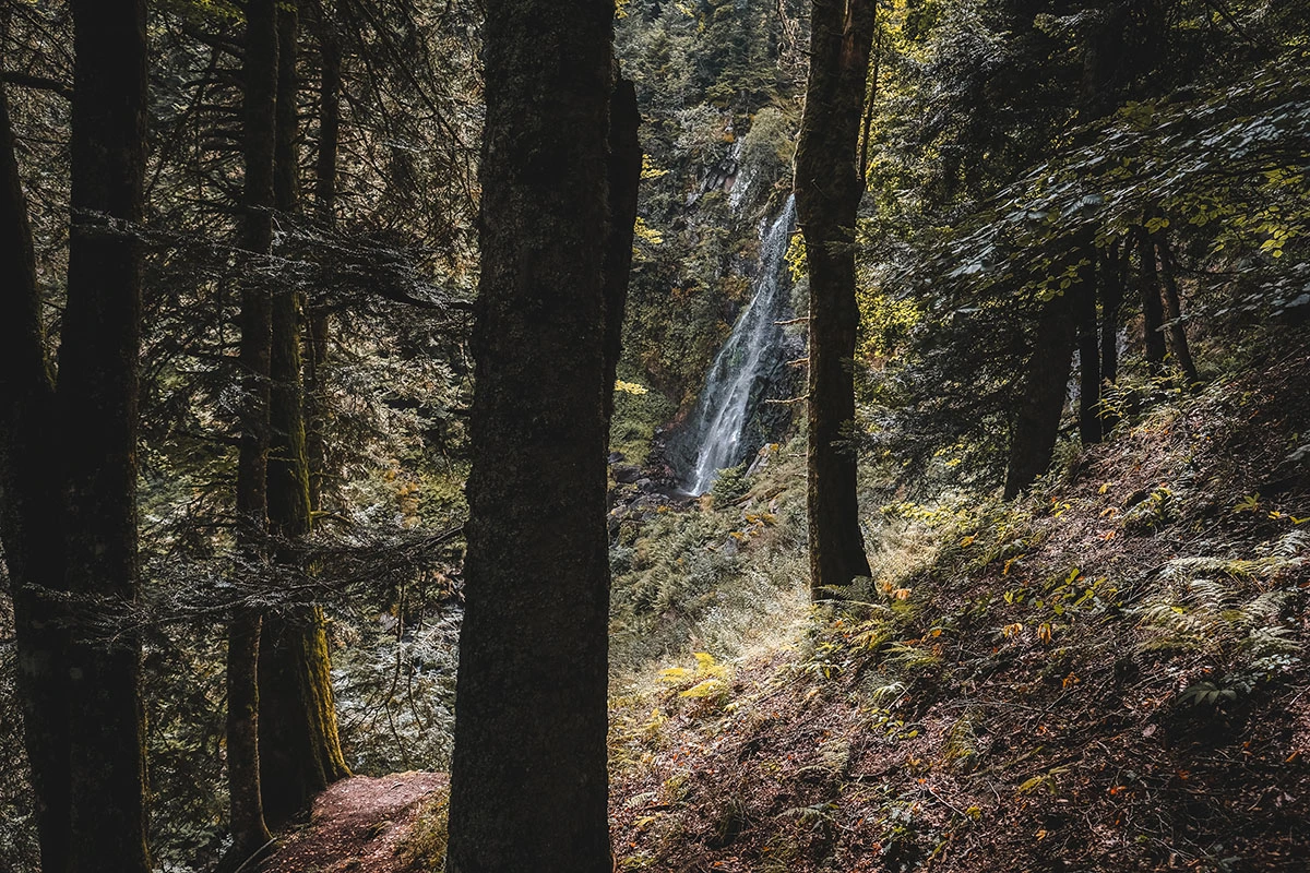 Cascade au-dessus de Laveissière dans le Cantal